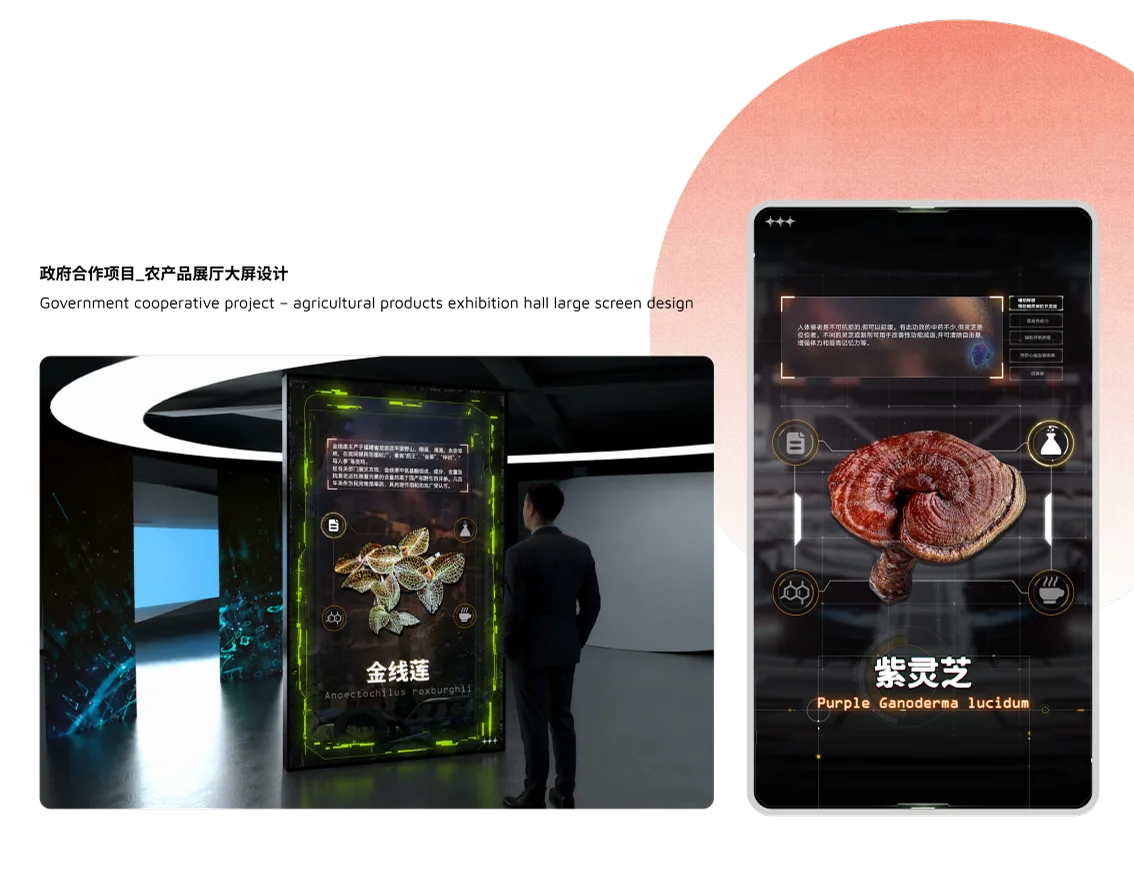 Large-Screen Visual Design content 3